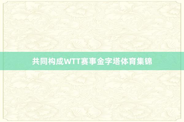 共同构成WTT赛事金字塔体育集锦