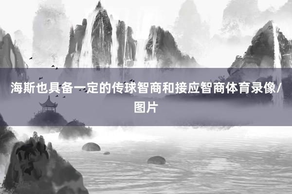 海斯也具备一定的传球智商和接应智商体育录像/图片