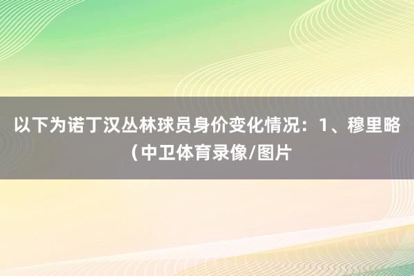 以下为诺丁汉丛林球员身价变化情况:1、穆里略(中卫体育录像/图片