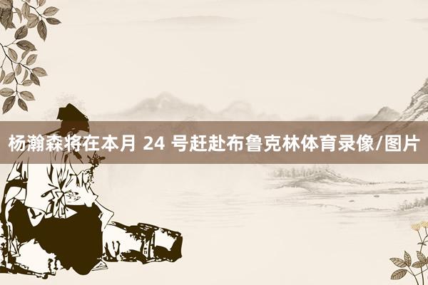 杨瀚森将在本月 24 号赶赴布鲁克林体育录像/图片