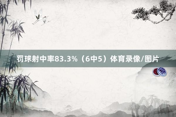 罚球射中率83.3%（6中5）体育录像/图片