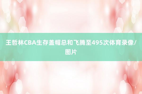 王哲林CBA生存盖帽总和飞腾至495次体育录像/图片