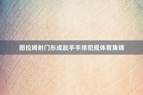 图拉姆射门形成敌手手球犯规体育集锦