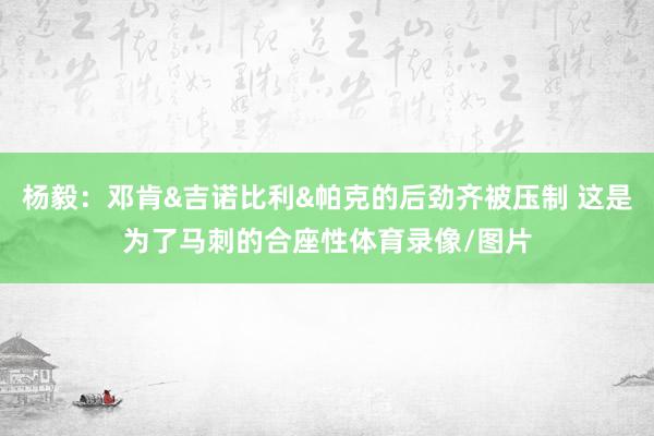 杨毅：邓肯&吉诺比利&帕克的后劲齐被压制 这是为了马刺的合座性体育录像/图片