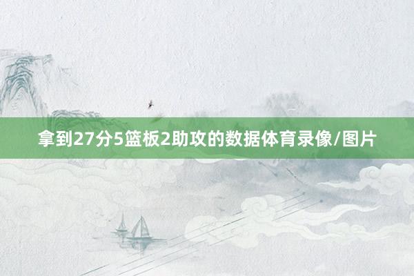 拿到27分5篮板2助攻的数据体育录像/图片