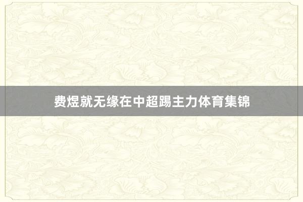 费煜就无缘在中超踢主力体育集锦