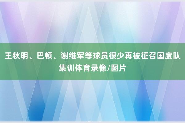 王秋明、巴顿、谢维军等球员很少再被征召国度队集训体育录像/图片