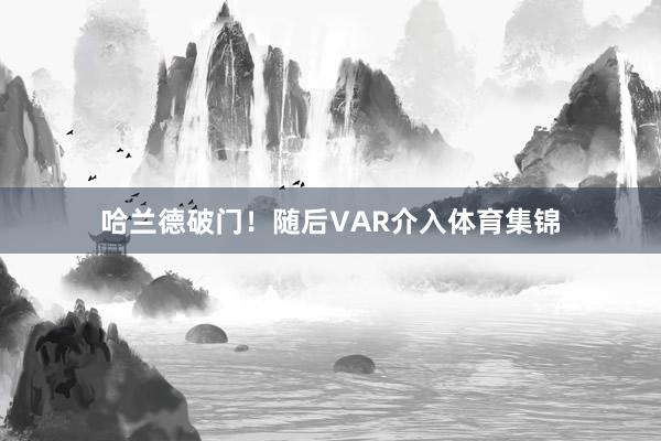 哈兰德破门！随后VAR介入体育集锦