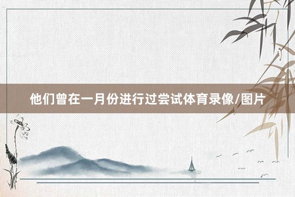 他们曾在一月份进行过尝试体育录像/图片