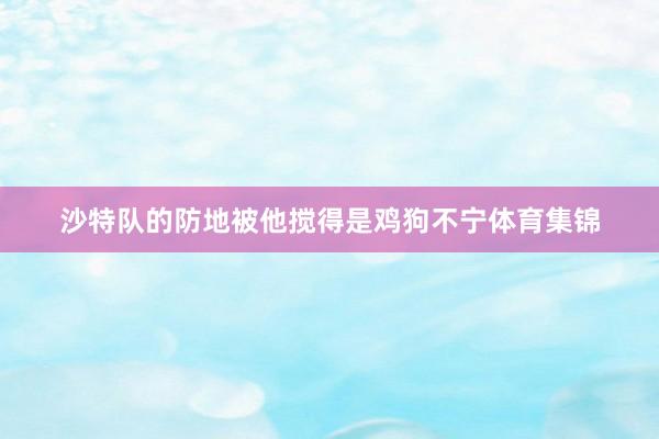 沙特队的防地被他搅得是鸡狗不宁体育集锦