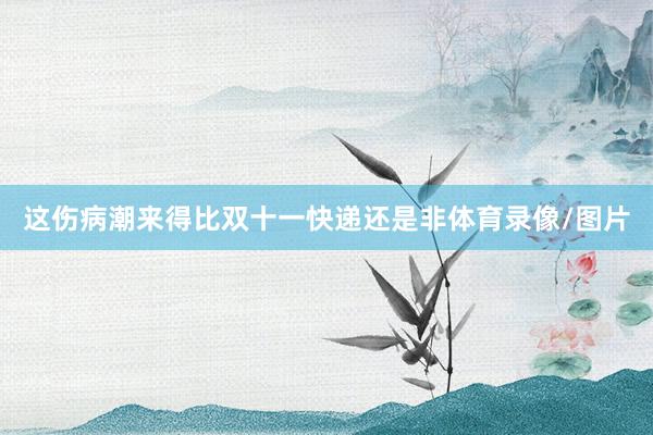 这伤病潮来得比双十一快递还是非体育录像/图片