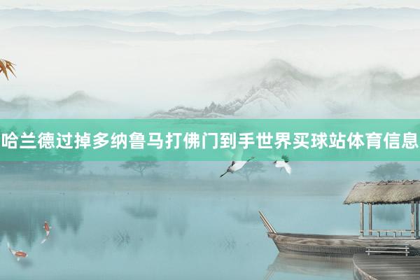 哈兰德过掉多纳鲁马打佛门到手世界买球站体育信息