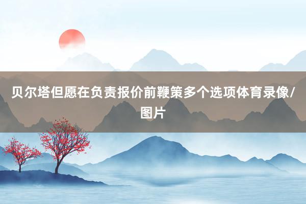 贝尔塔但愿在负责报价前鞭策多个选项体育录像/图片