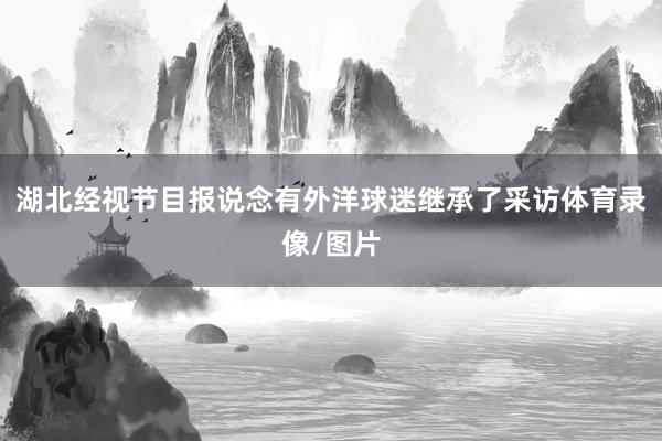 湖北经视节目报说念有外洋球迷继承了采访体育录像/图片