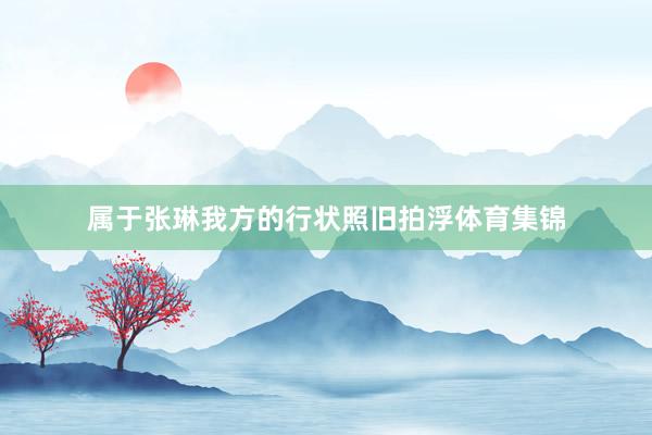 属于张琳我方的行状照旧拍浮体育集锦