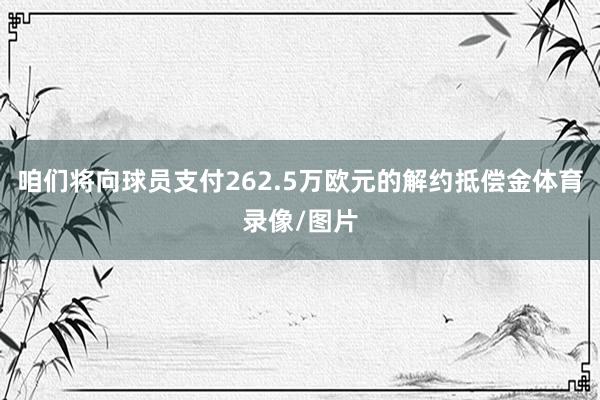 咱们将向球员支付262.5万欧元的解约抵偿金体育录像/图片