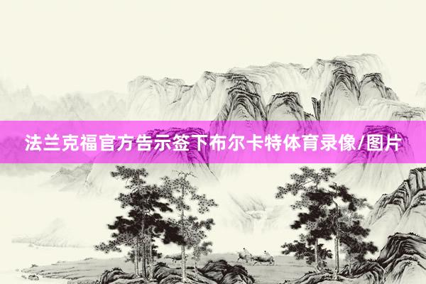 法兰克福官方告示签下布尔卡特体育录像/图片