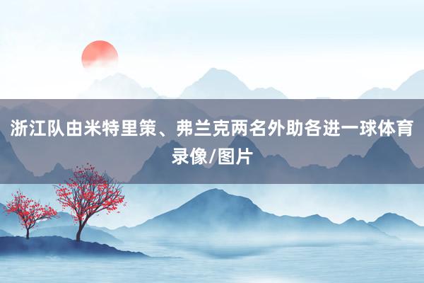 浙江队由米特里策、弗兰克两名外助各进一球体育录像/图片